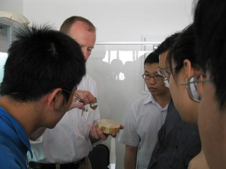 德国RINTECH公司应用科学家来到中国林业科学院培训Lignostation年轮密度工作站