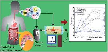 Graphical abstract: Diagnosis of small intestinal bacterial overgrowth in irritable bowel syndrome patients using high-precision stable 13CO2/12CO2 isotope ratios in exhaled breath