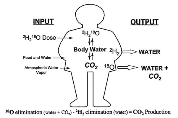 VCO2.jpg