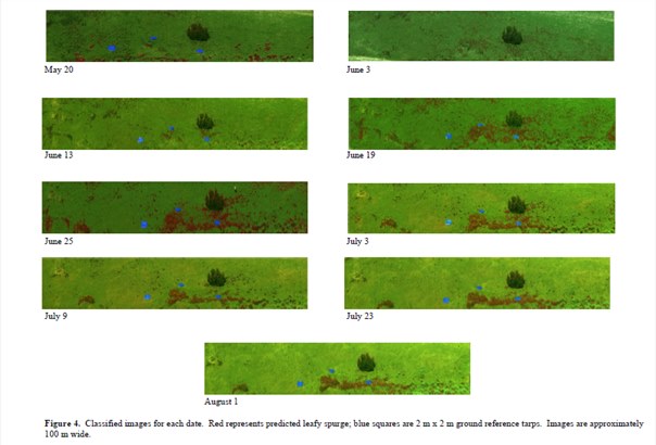 高光谱成像技术在监测物种入侵上的应用